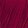 BC08